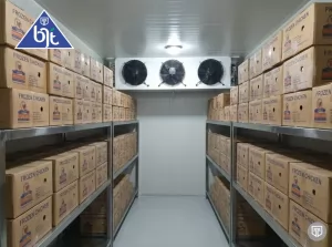 Industrial refrigeration system design by BJT